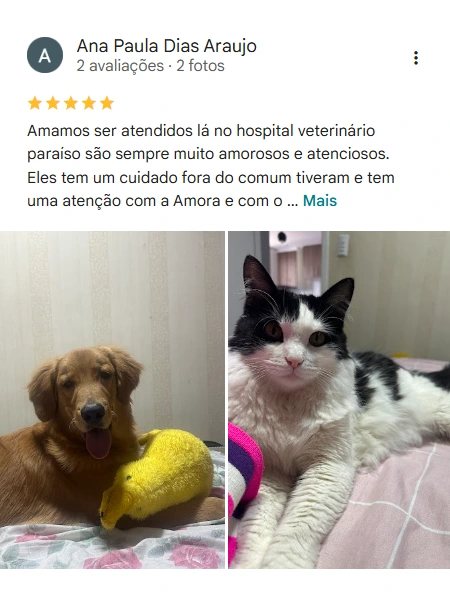 Avaliação 5 estrelas