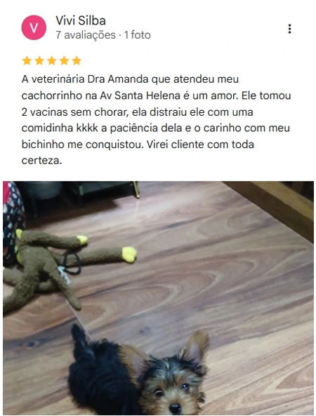 Avaliação 5 estrelas