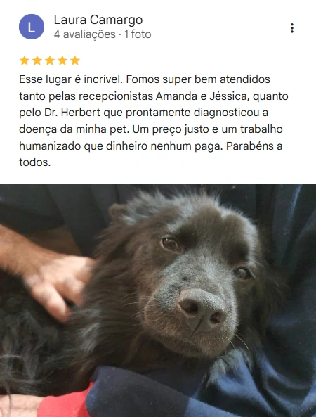 Avaliação 5 estrelas